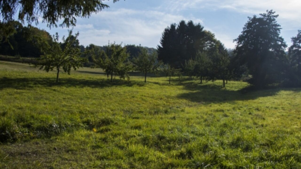 Gesundheit von innen heraus – tanken Sie positive Energie mit Yoga, Meditation, Atemtechniken und Körperarbeit