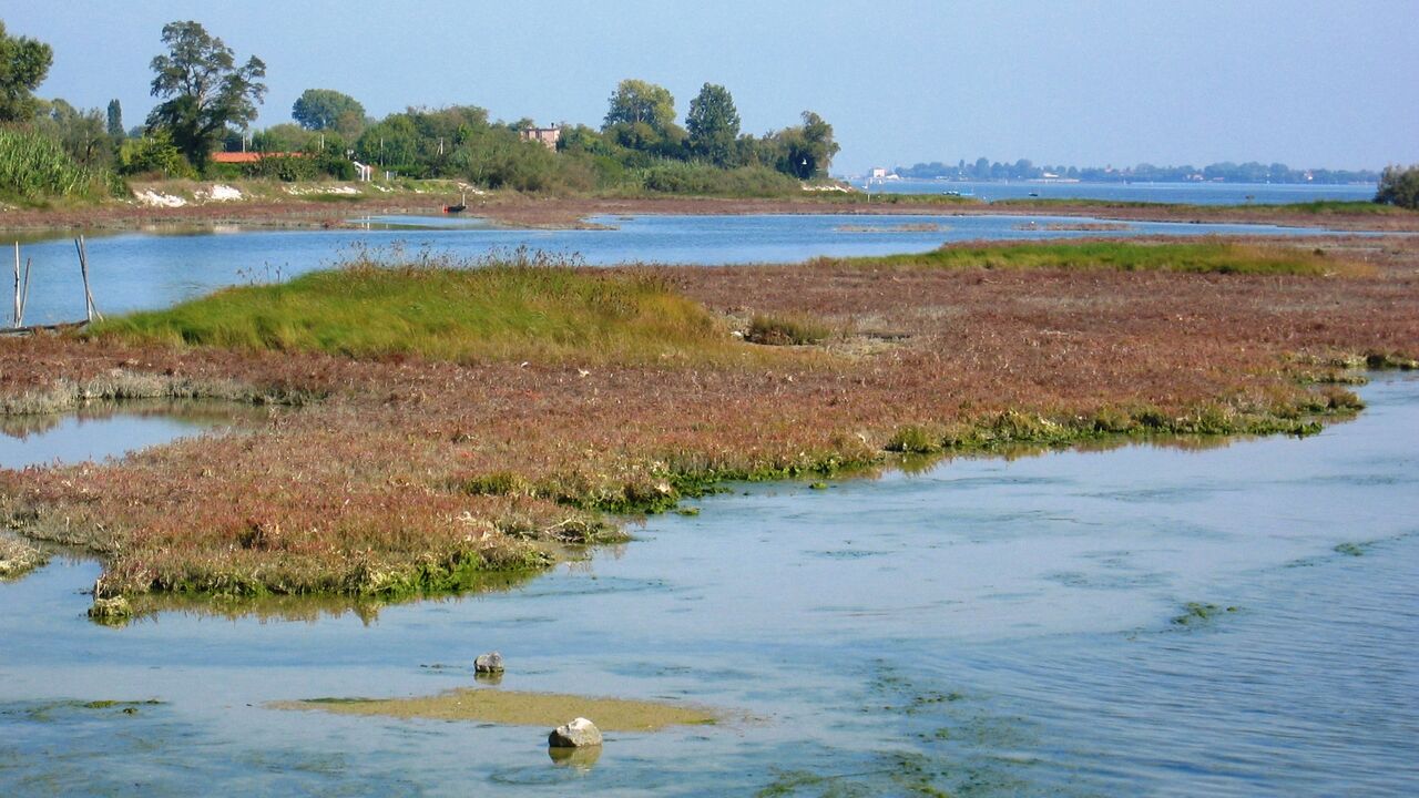 Venedig – Welterbe zwischen Tourismus, Ökonomie und Naturerhalt