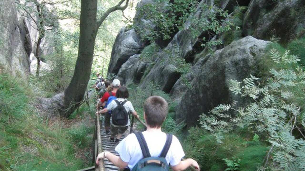 Der Nationalpark Sächsische Schweiz (Elbsandsteingebirge): Ist das schon Wildnis?!