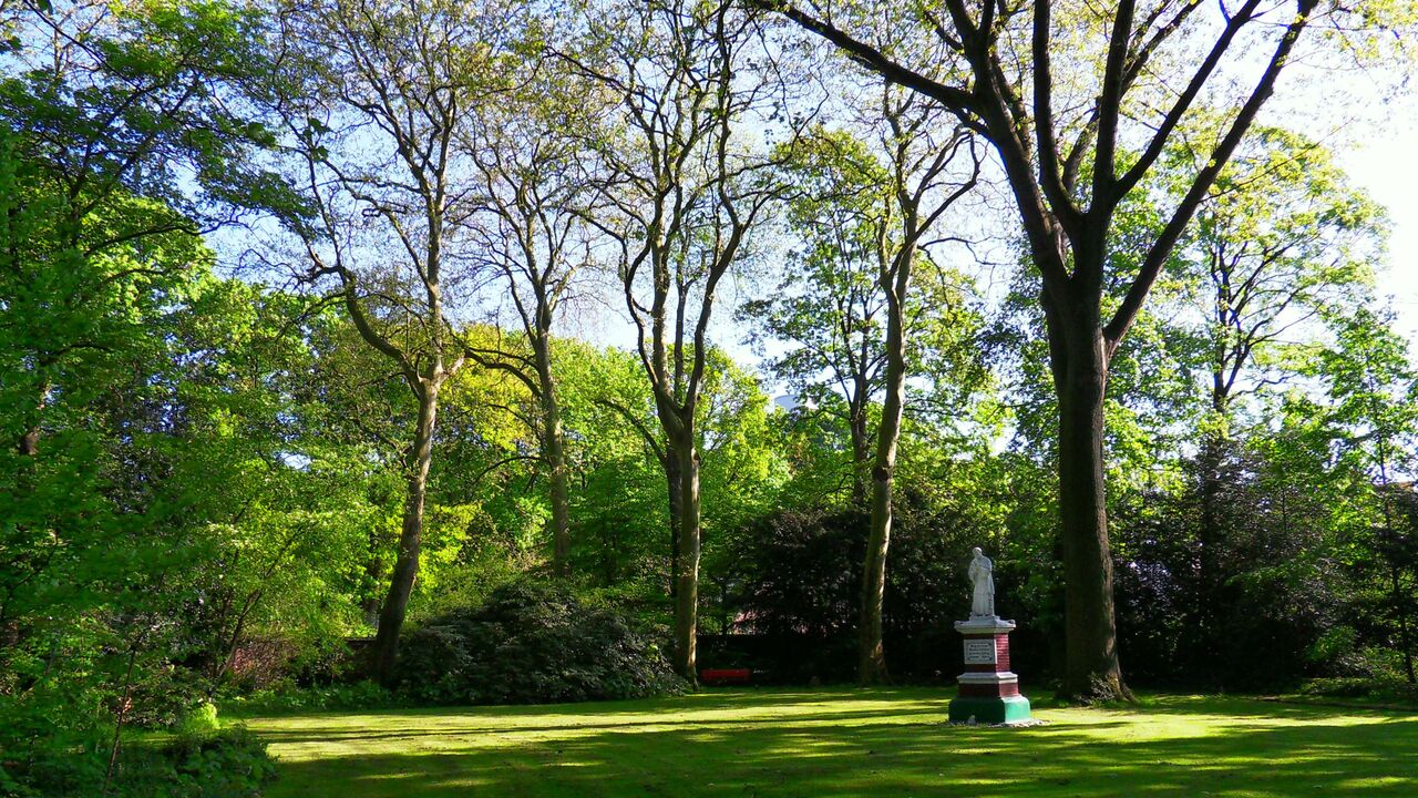 Mit ganzem Herzen sein mit Iyengar®-Yoga