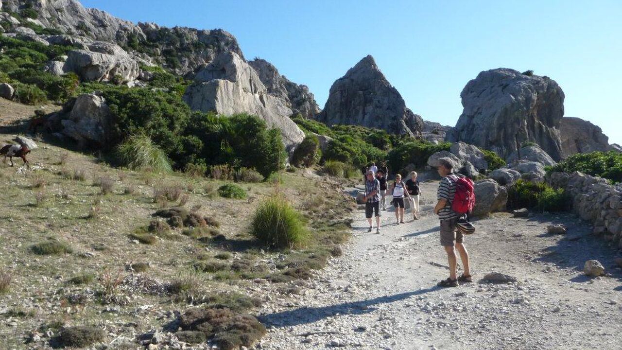 Trauminsel Mallorca?! – Die 