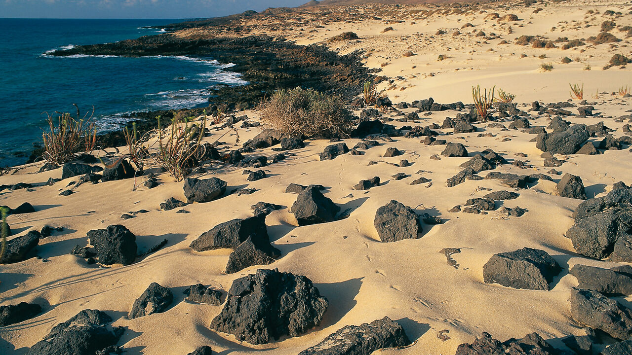 Fuerteventura - Modellregion für Nachhaltigkeit?