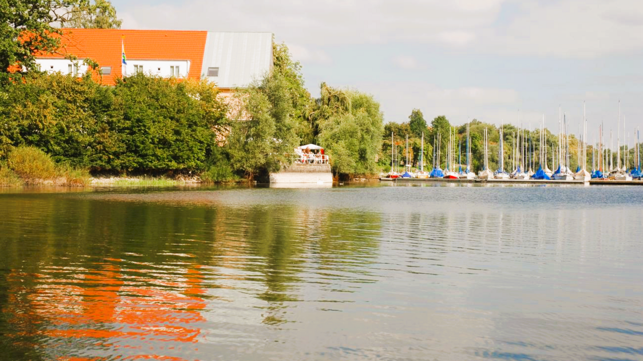 Resilienz als Schlüsselkompetenz für Beruf und Gesellschaft