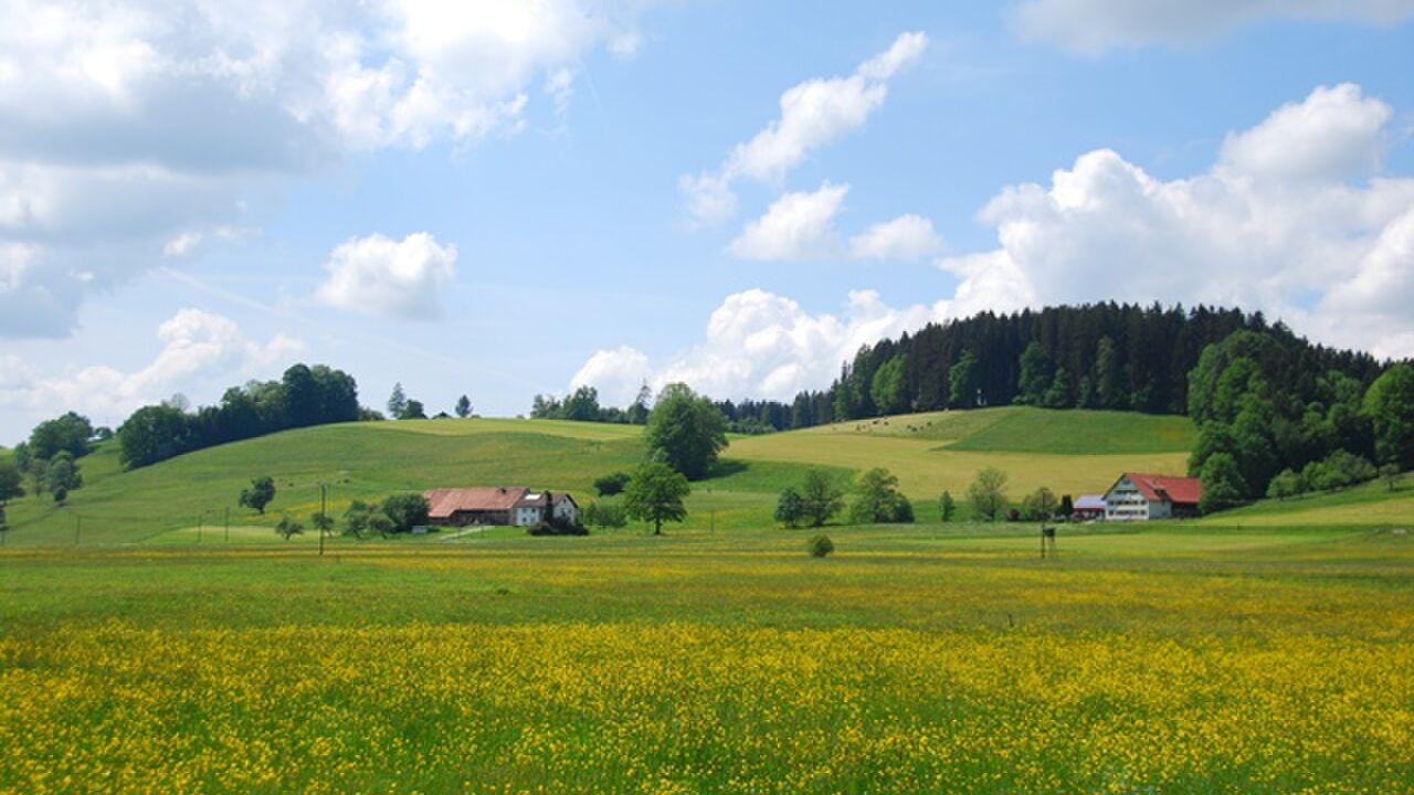 Das Oberschwäbische Allgäu – Entwicklung und Erhalt einer Kulturlandschaft zwischen Tradition und Zukunft