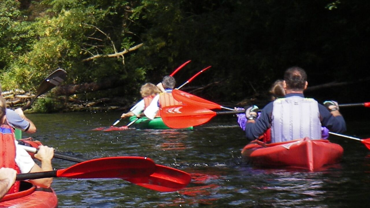 Nationalpark Eifel und Braunkohletagebau Inden - Natur zwischen Schutz und Nutzung