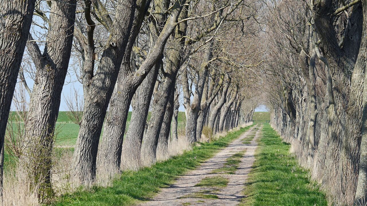 Ostfriesland – Wandel einer Küstenregion zwischen Identitätsbewahrung und Zukunftsfähigkeit