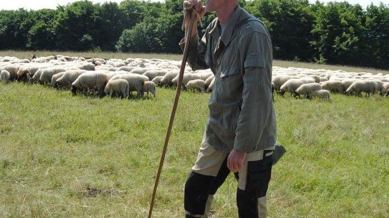 Biosphärenreservat Rhön - Modellprojekt für nachhaltige Regionalentwicklung