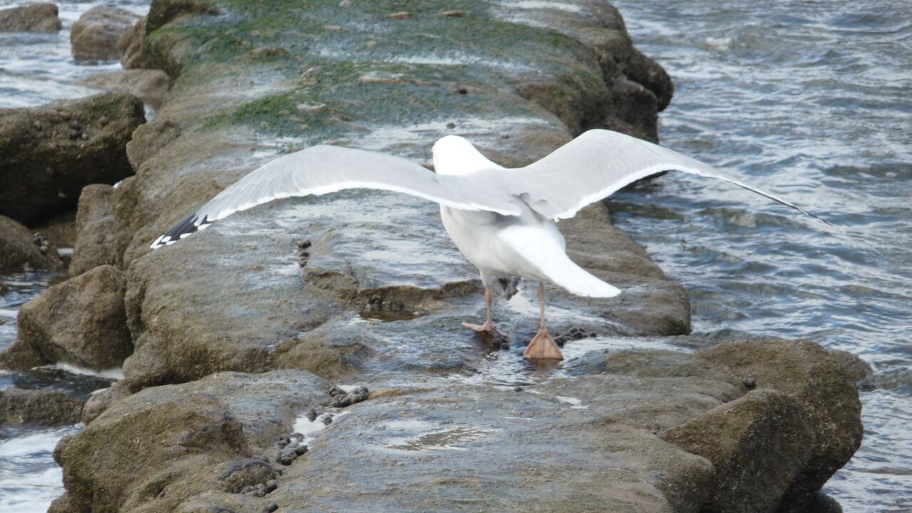Aus dem Vollen schöpfen