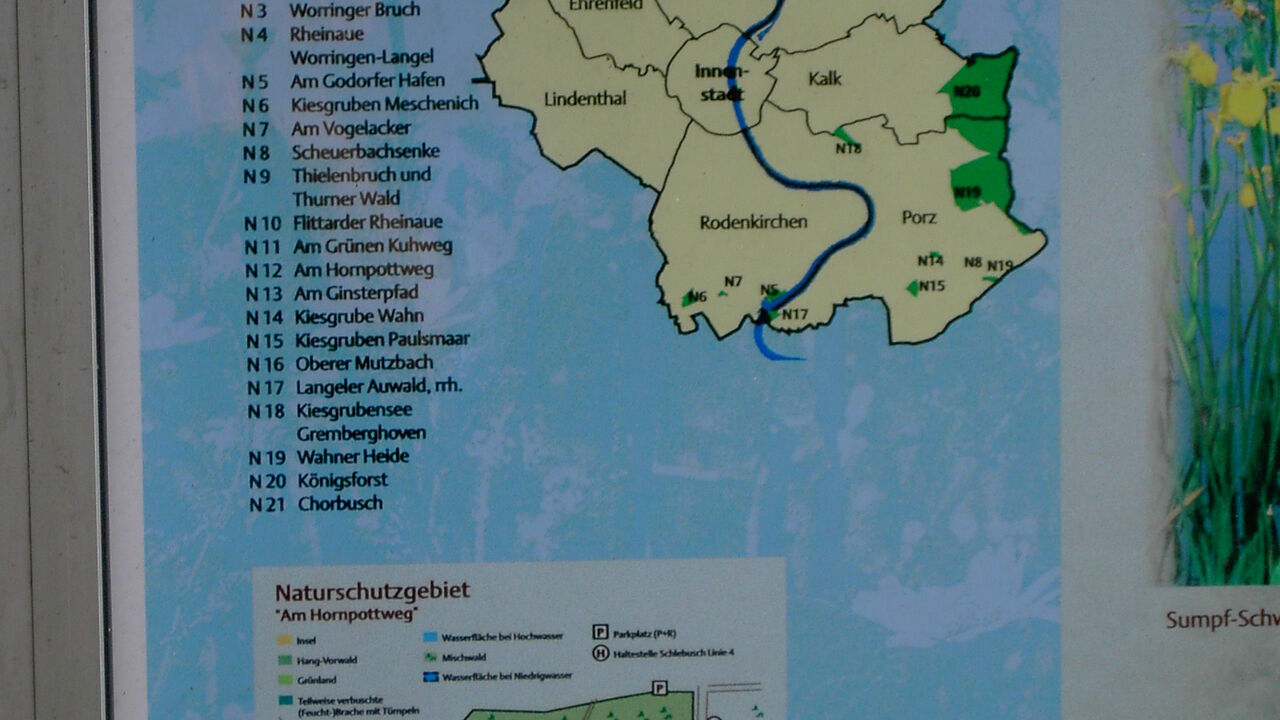 Natur- und Umweltschutz in einer Großstadt: Köln