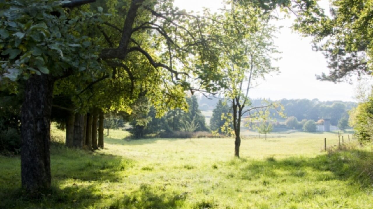 Mit Hatha Yoga und Yin Yoga in die Balance von Körper und Geist, um den Anforderungen des Berufsalltags besser gerecht zu werden