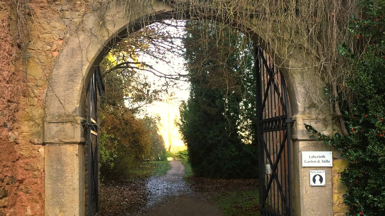 Komplexität meistern – Strategien für eine vernetzte Welt