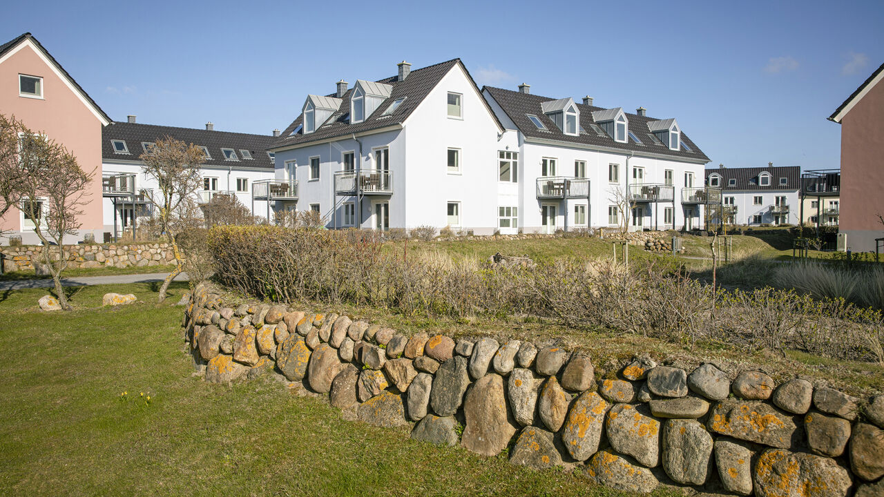 Yoga, Longevity und Biohacks