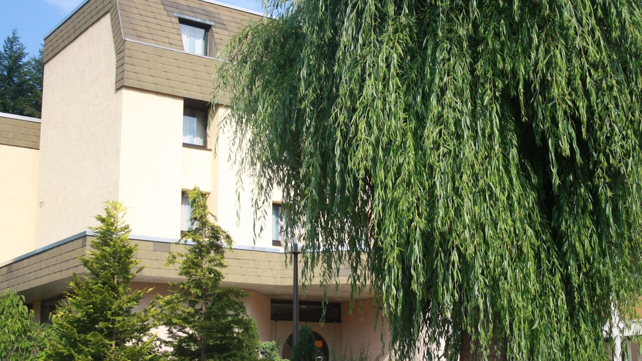 Entscheidungskompetenz & Kommunikation im agilen Arbeiten