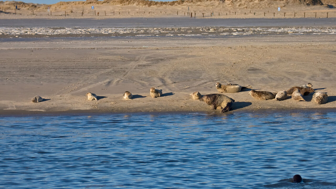 Klarheit, Gelassenheit und innere Balance im beruflichen Alltag