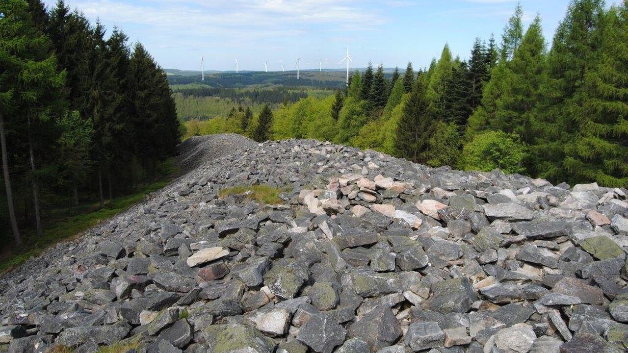 Nationalpark Hunsrück-Hochwald - ein länderübergreifendes Großschutzgebiet