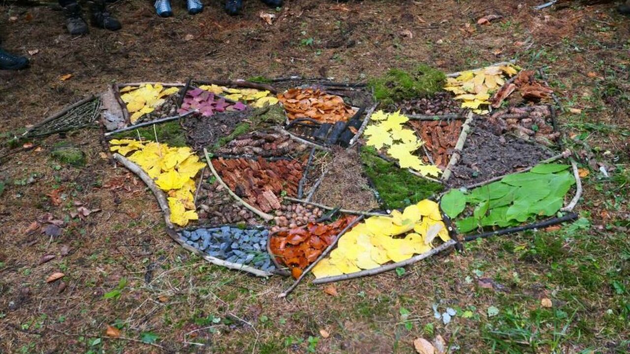 Weiterbildung Naturpädagogik: Naturerleben, Naturwissen, naturbezogene Methodik und Didaktik, Gruppenleitung