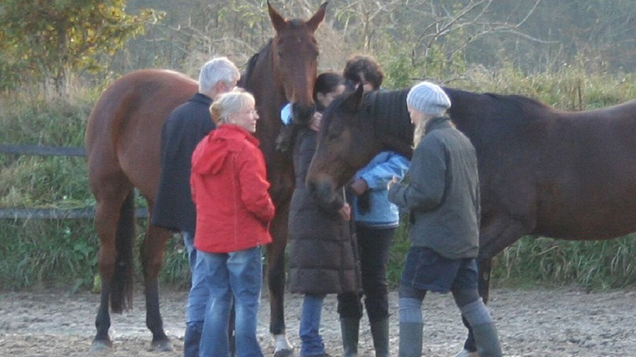 Epona-Intensiv - Weiterbildung in pferdegestützter Persönlichkeitsentwicklung