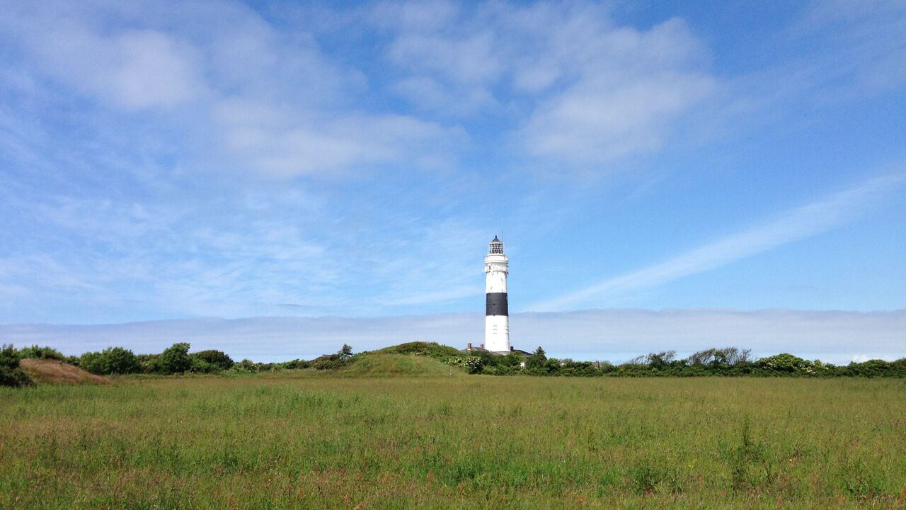 Leichtigkeit & Beweglichkeit mit Yoga und Sensomotorics®