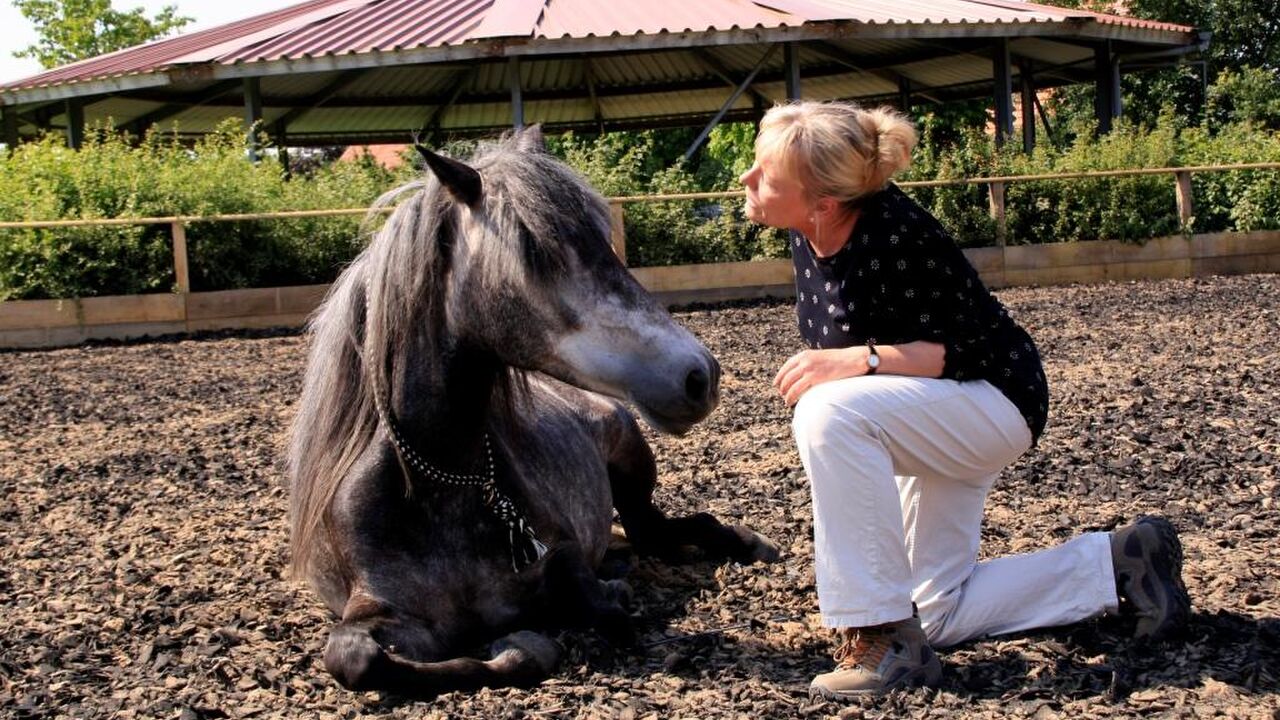 Epona-Intensiv - Weiterbildung in pferdegestützter Persönlichkeitsentwicklung