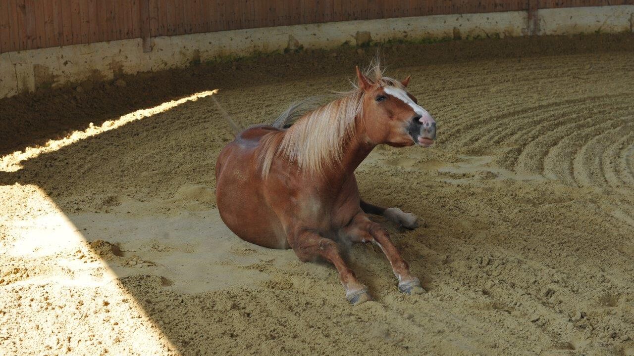 Entscheidungen treffen