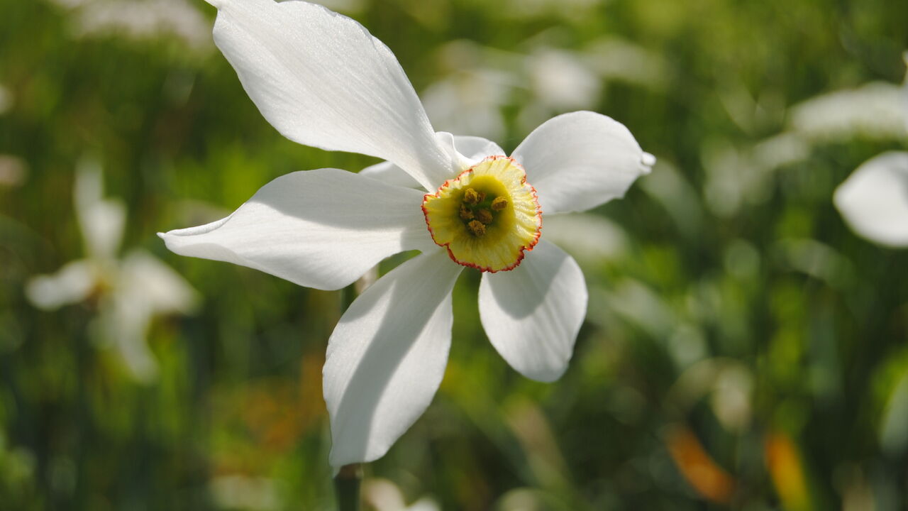 Nationalpark Kalkalpen - Modellregion für nachhaltige Entwicklung