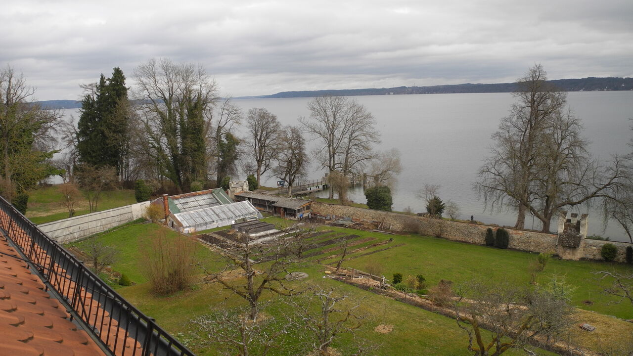 Die Kraft der Mitte stärken mit Hatha Yoga und Qi Gong für mehr Ausgeglichenheit von Körper und Geist im Berufsalltag