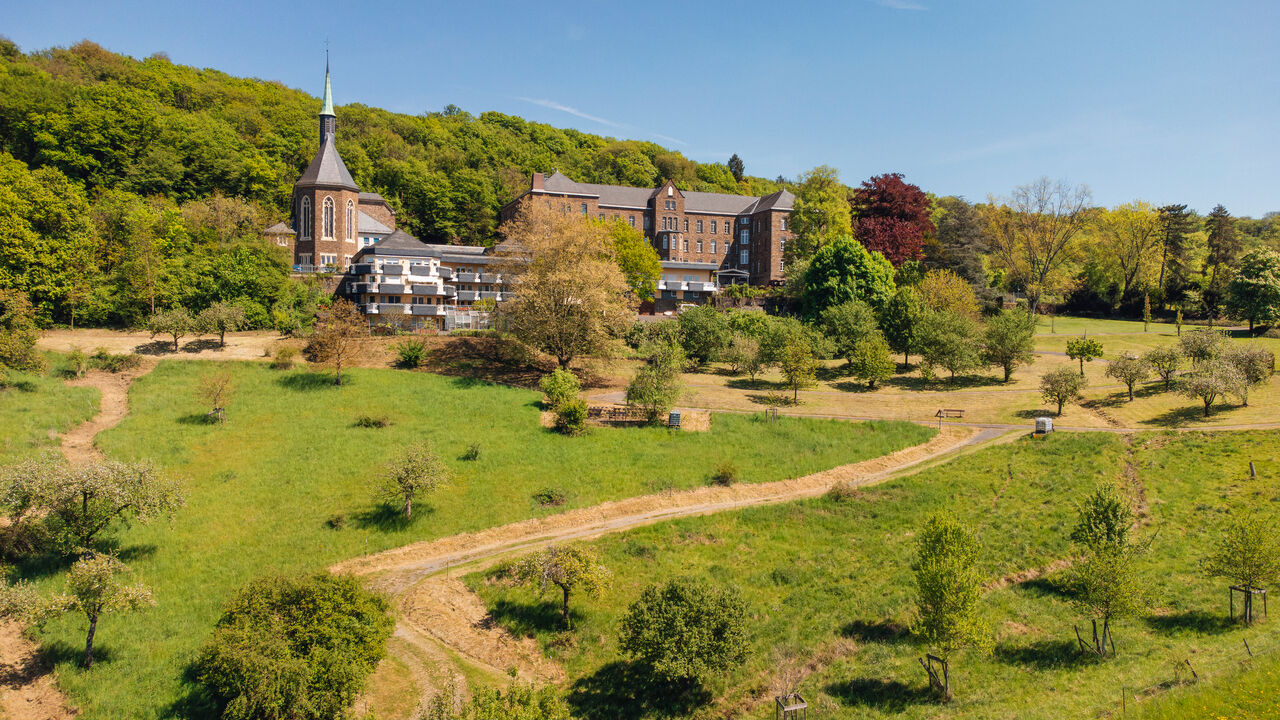 Gesunde Balance im Beruf mit Tai Chi und Qi Gong