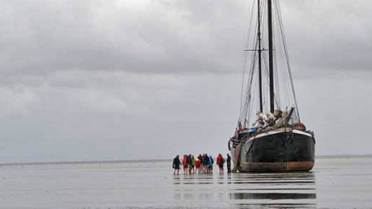 Das Team bin ich! Wie Sie sich im Team verwirklichen und Wirkung entfalten