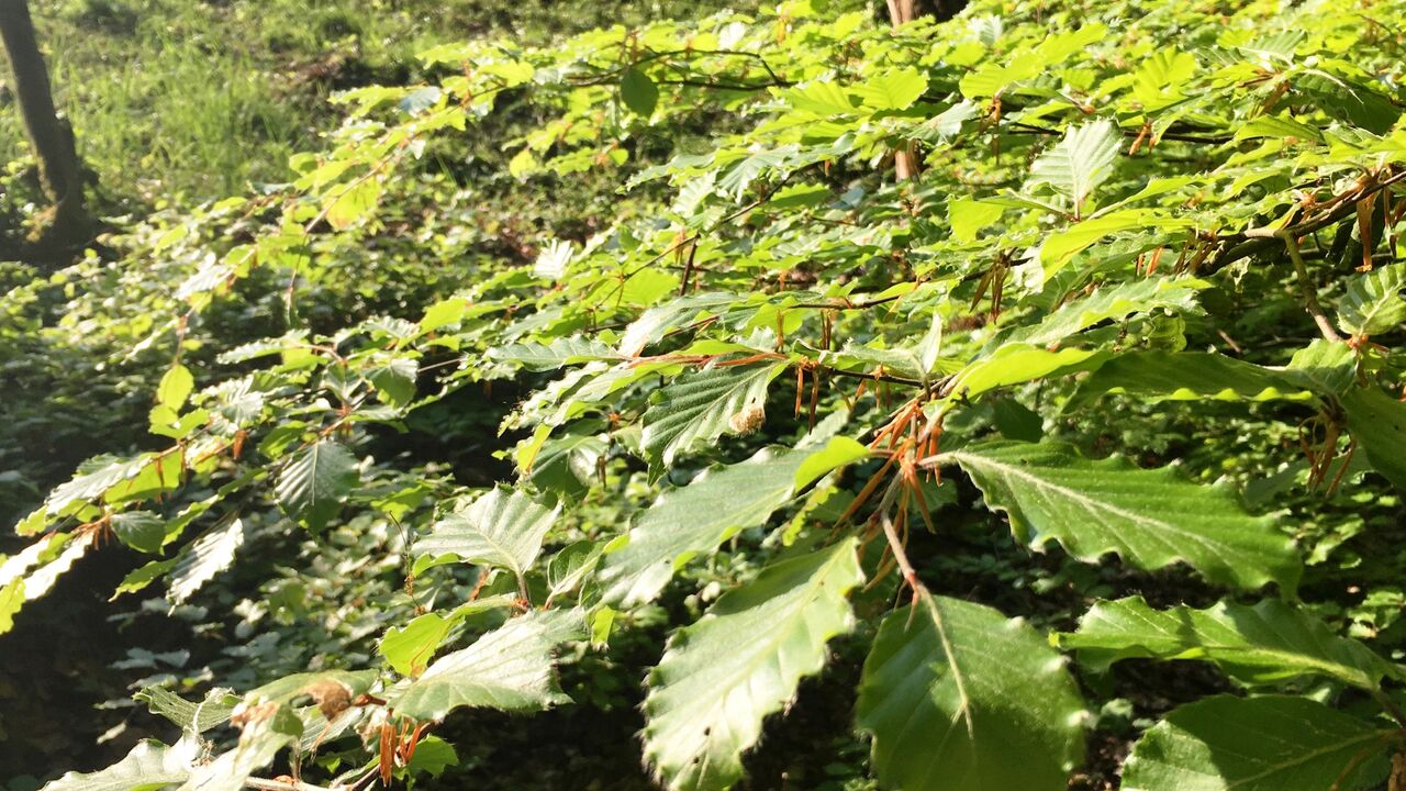 Handlungskompetenz stärken – nachhaltig Ziele erreichen – in Beruf und Alltag