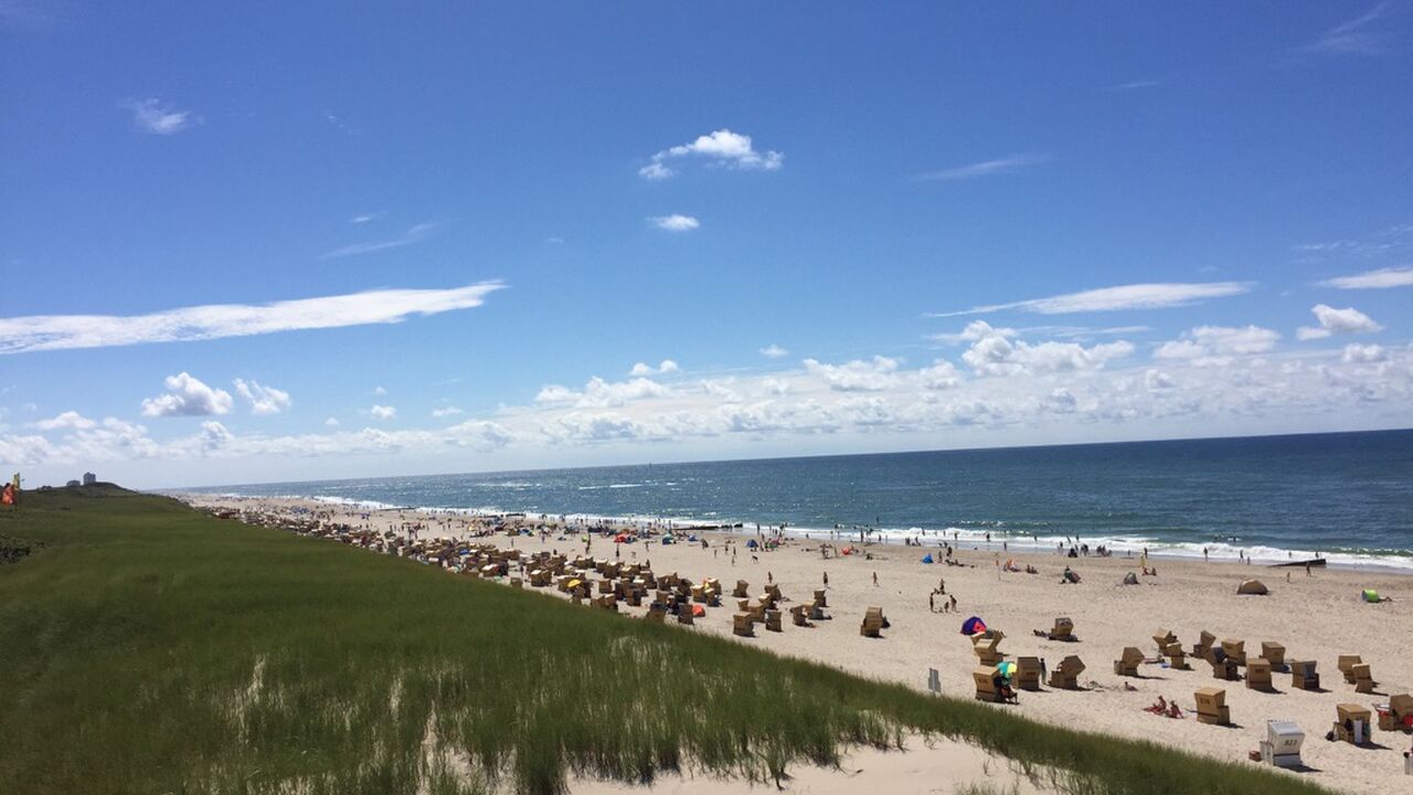 „Speed“-Focusing – stimmig handeln + entscheiden im Berufsalltag