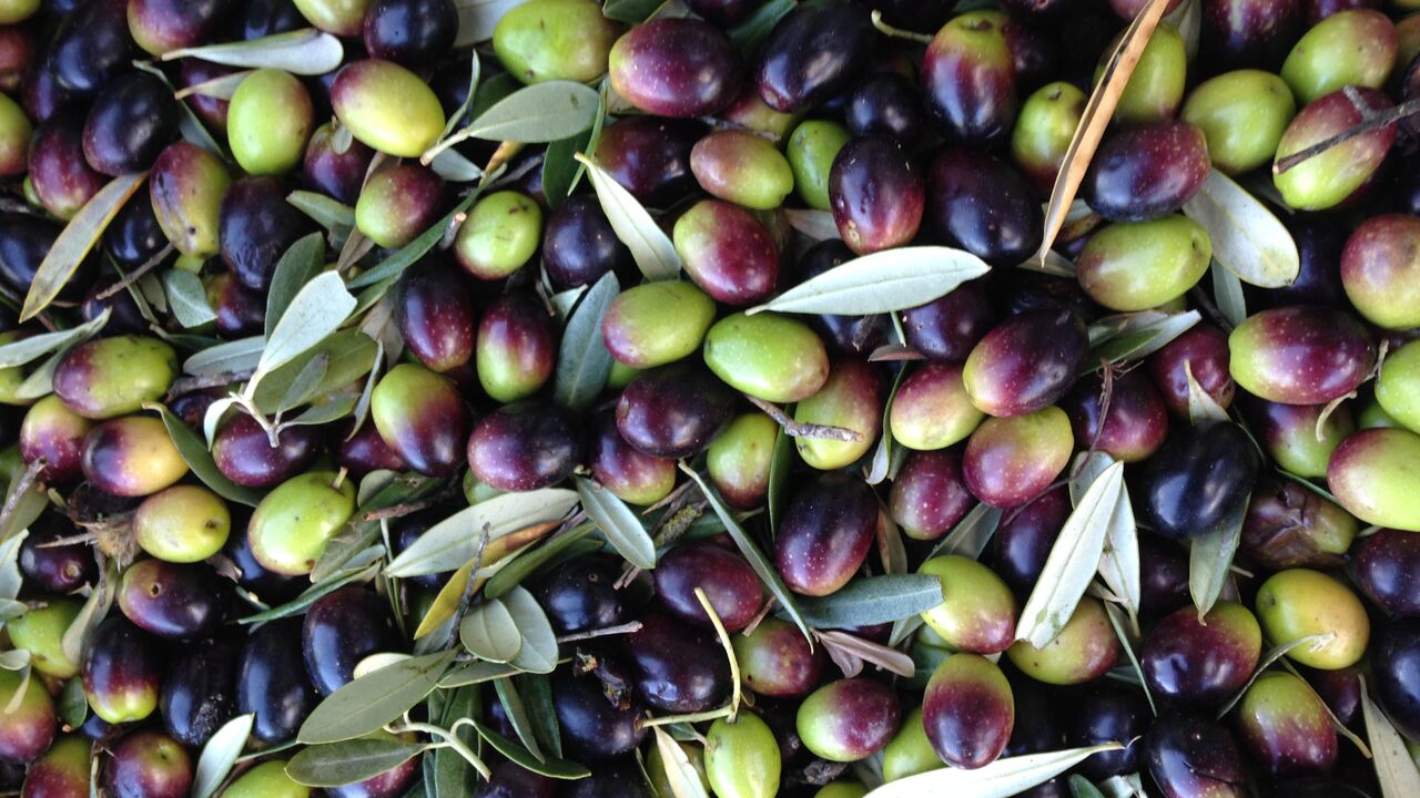 Alentejo – Das ländliche Portugal 50 Jahre nach der Nelkenrevolution