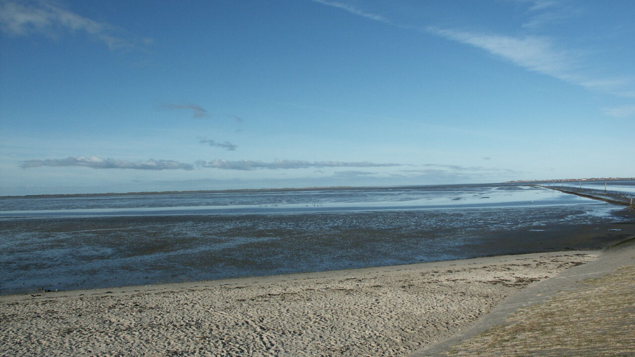 Aus dem Vollen schöpfen