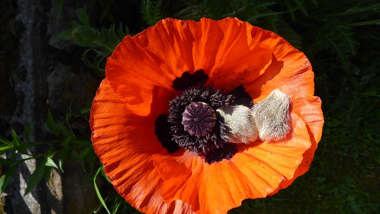 Ruhestand – Entdecke Deine Möglichkeiten