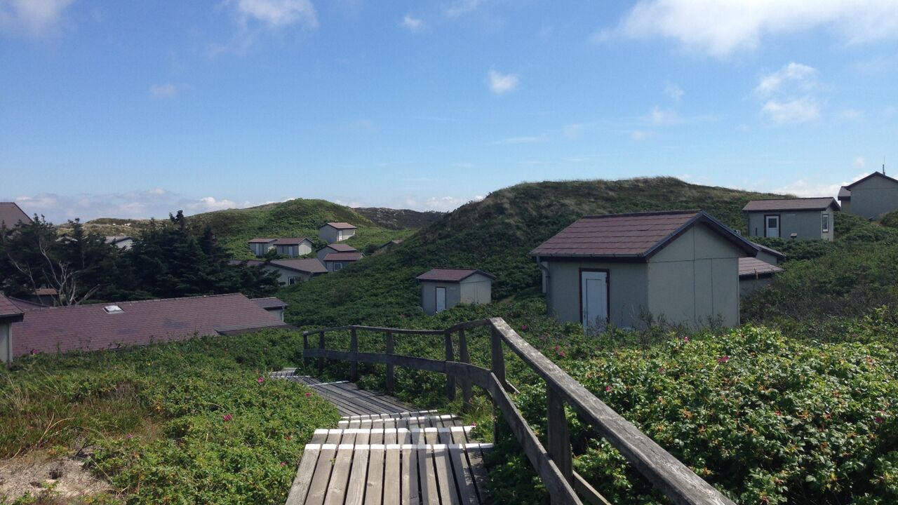 Im Flow mit Yoga & Mosaik - Kreative Resilienz erleben