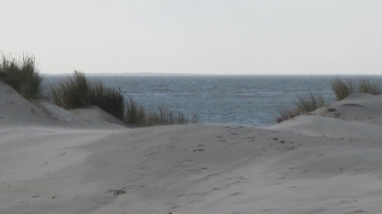 Mit Überzeugung und Souveränität auf der Bühne meines BerufsLEBENS handeln