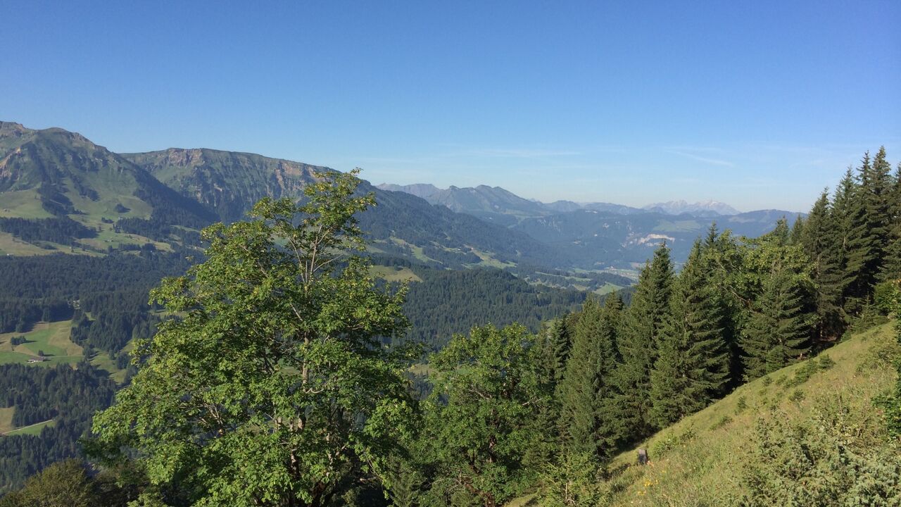 Klimaanpassungsregion Bregenzerwald – enkeltaugliche Strategien in den Alpen