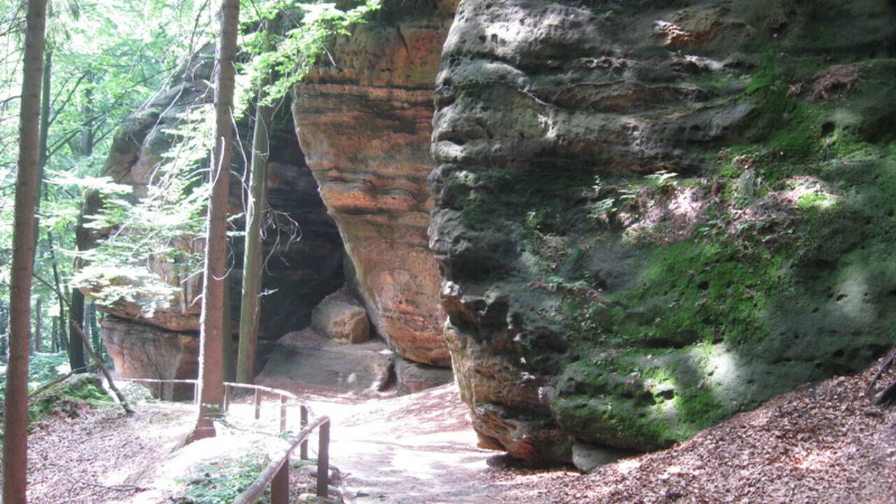 Der Nationalpark Sächsische Schweiz (Elbsandsteingebirge): Ist das schon Wildnis?!