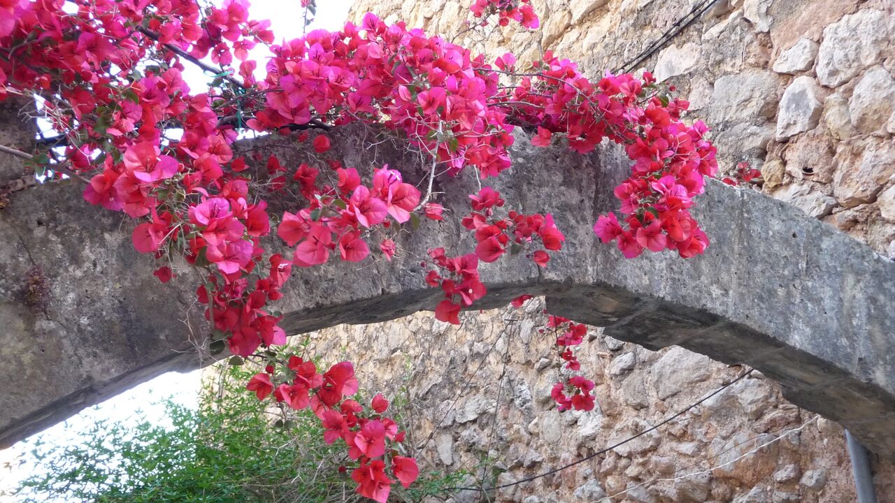 Im Gleichgewicht sein durch Pilates für Fortgeschrittene
