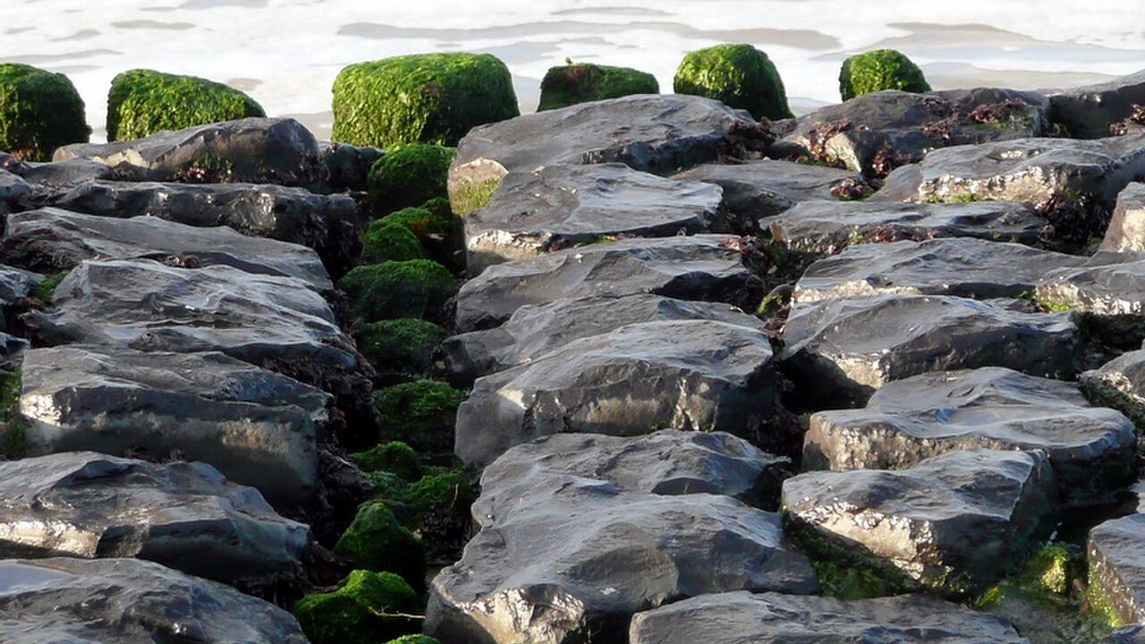 Konflikte als Chance nutzen – konstruktiv und nachhaltig –