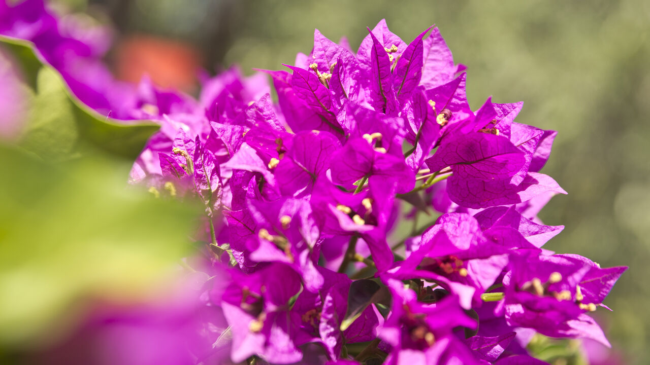 Work-Life-Balance durch Yoga, Pilates und Entspannungstechniken