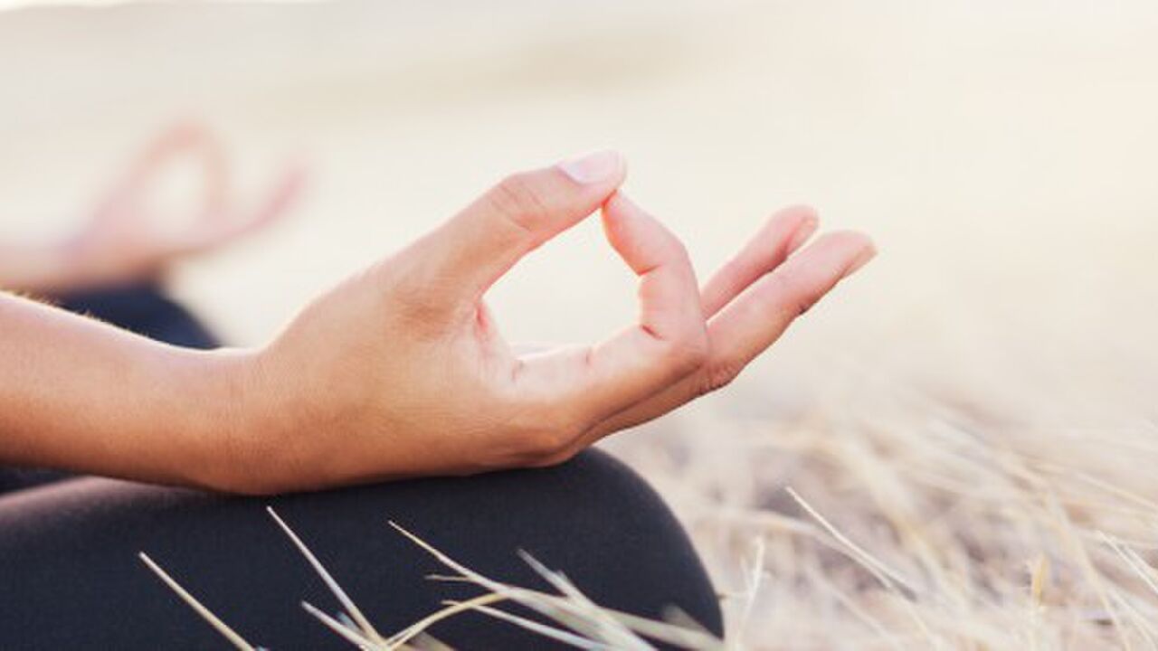 Lebendige Präsenz - Achtsamkeitsmeditation und Stille