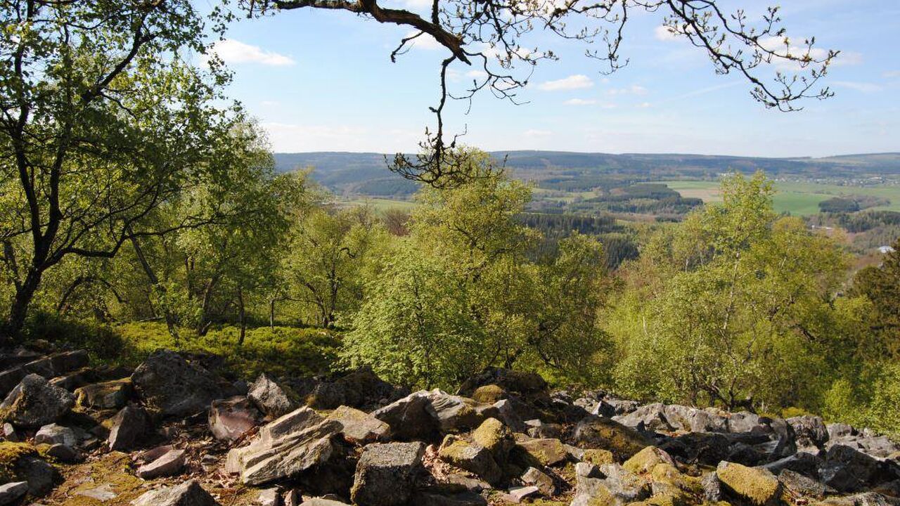 Nationalpark Hunsrück-Hochwald - ein länderübergreifendes Großschutzgebiet
