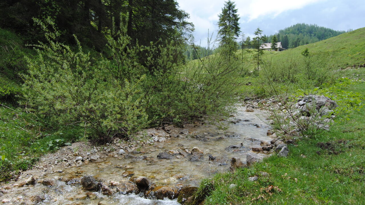 Nationalpark Kalkalpen - Modellregion für nachhaltige Entwicklung
