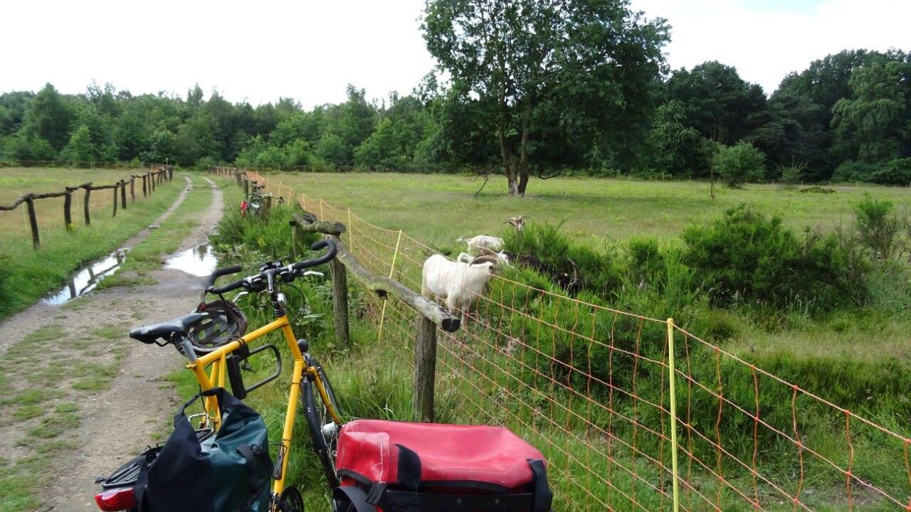 Natur- und Umweltschutz in einer Großstadt: Köln