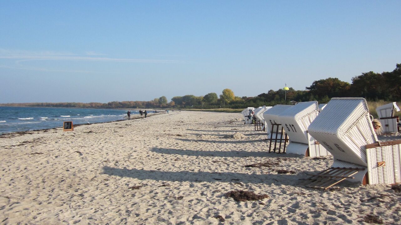 Gewaltfreie Kommunikation in Beruf und Alltag