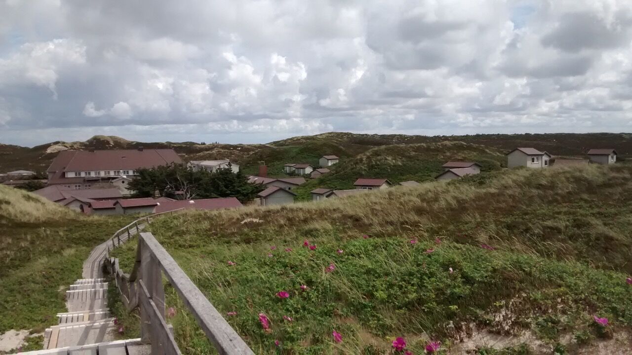 Tai Chi und Qi Gong für Beruf und Alltag