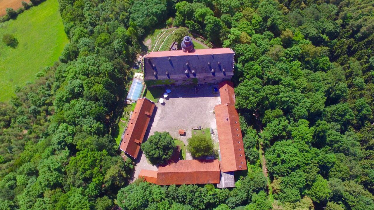 Gesunde Balance im Beruf mit Tai Chi und Qi Gong