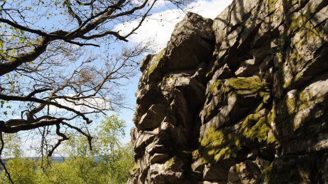 Nationalpark Hunsrück-Hochwald - ein länderübergreifendes Großschutzgebiet