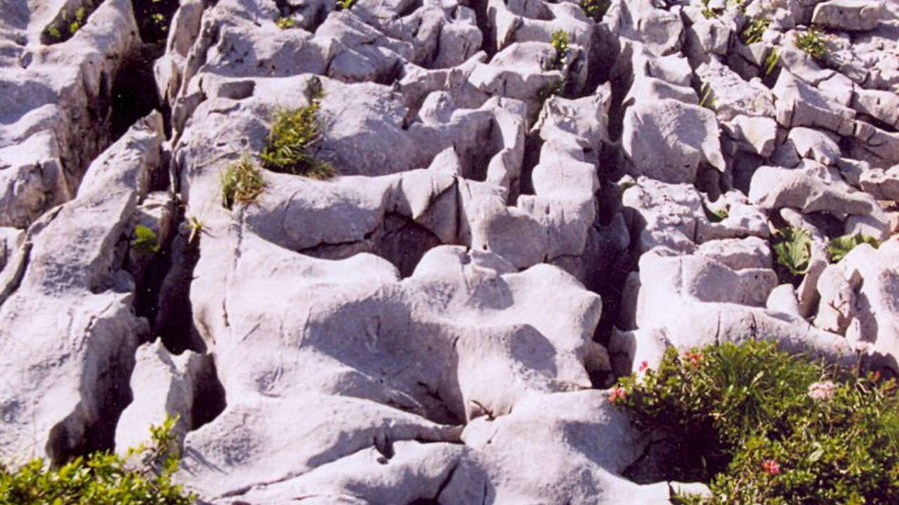 Grenzregion Kleinwalsertal – ein alpines Hochtal sucht (s)einen Weg
