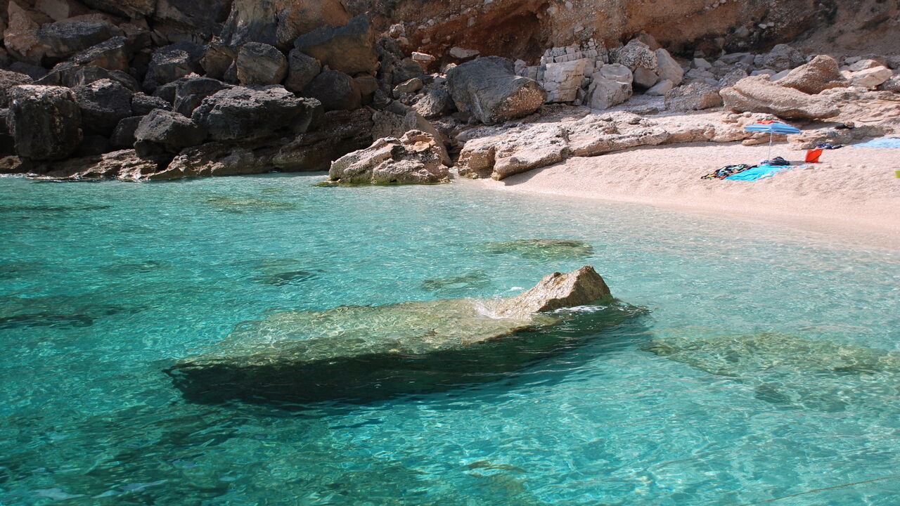 Resilienz und Selbstfürsorge durch Body-Mind Centering®